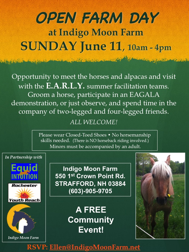 open farm day june 11 indigo moon farm alpaca farm day flyer