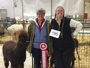 Ellen and Kris with 9 month old Cody at the 2015 North American Alpaca Show